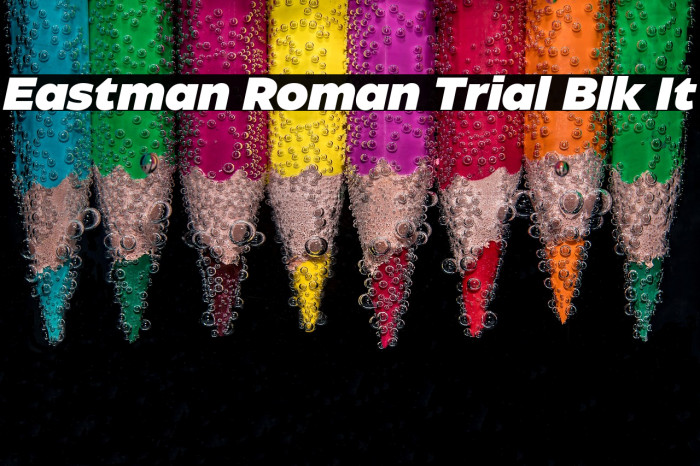 Eastman Roman Trial Blk It Example 3