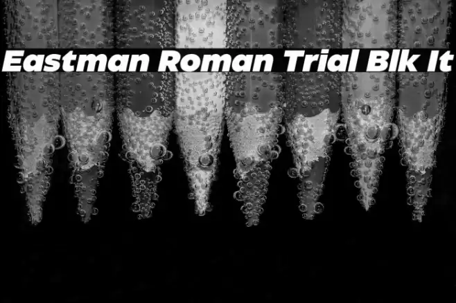 Eastman Roman Trial Blk It Font examples