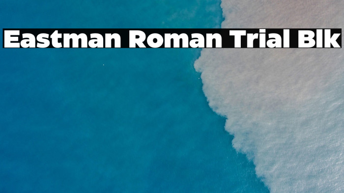 Eastman Roman Trial Blk Example 3