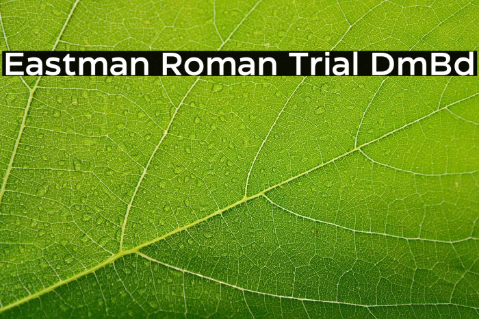 Eastman Roman Trial DmBd Example 1