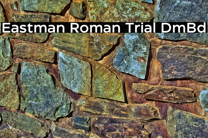 Eastman Roman Trial DmBd Example 3