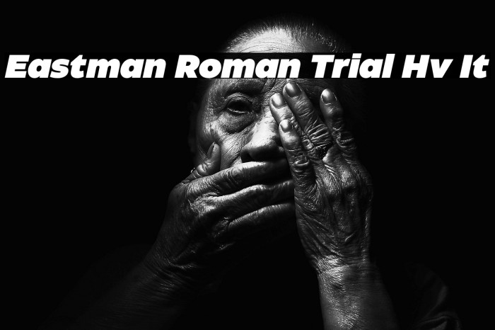 Eastman Roman Trial Hv It Example 2