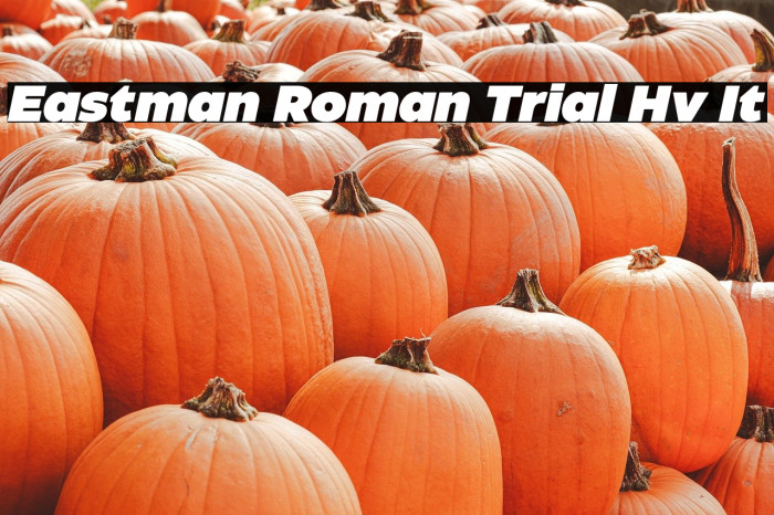 Eastman Roman Trial Hv It Example 3