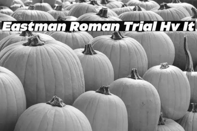 Eastman Roman Trial Hv It Font examples