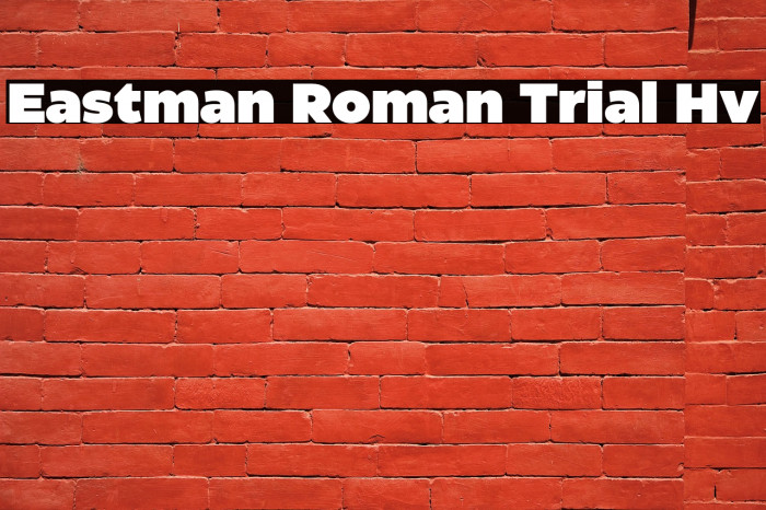 Eastman Roman Trial Hv Example 1