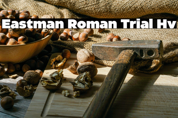 Eastman Roman Trial Hv Example 2