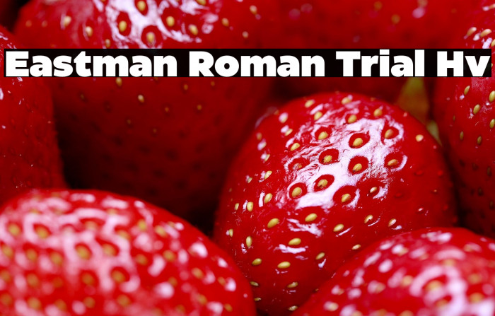 Eastman Roman Trial Hv Example 3