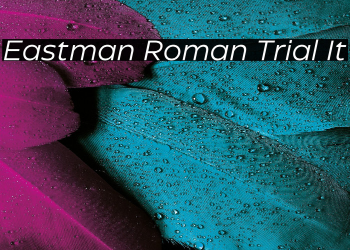 Eastman Roman Trial It Example 2
