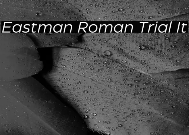 Eastman Roman Trial It Font examples
