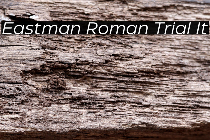 Eastman Roman Trial It Example 3