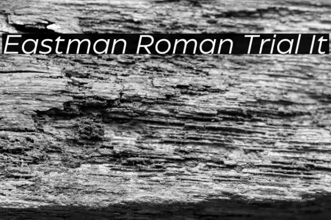 Eastman Roman Trial It Font examples
