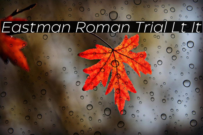 Eastman Roman Trial Lt It Example 3