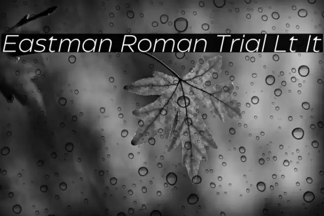 Eastman Roman Trial Lt It Font examples
