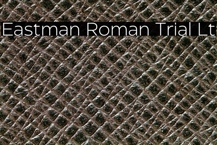 Eastman Roman Trial Lt Example 1