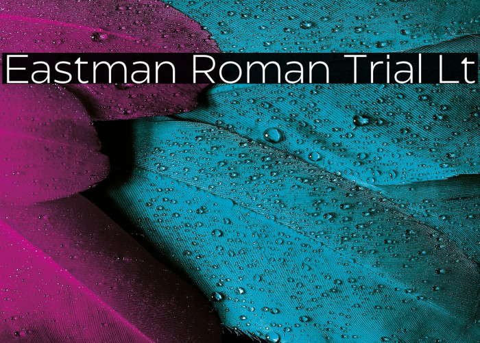 Eastman Roman Trial Lt Example 2