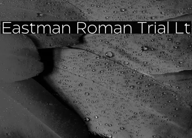 Eastman Roman Trial Lt Font examples