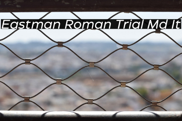 Eastman Roman Trial Md It Example 1