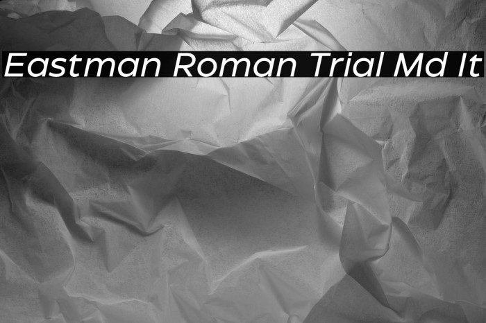 Eastman Roman Trial Md It Example 2