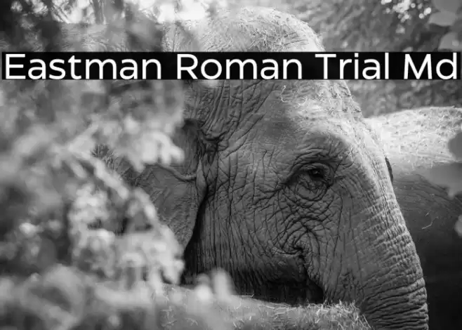Eastman Roman Trial Md Font examples