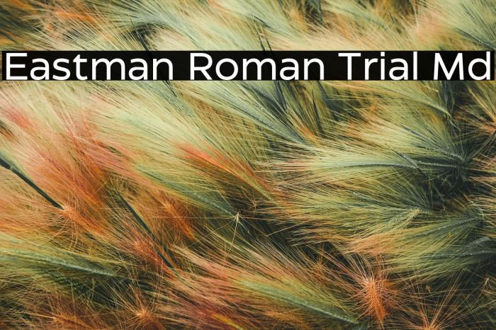 Eastman Roman Trial Md Example 2