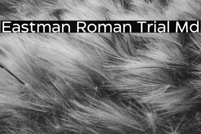 Eastman Roman Trial Md Font examples