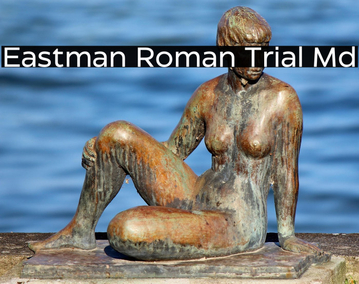 Eastman Roman Trial Md Example 3
