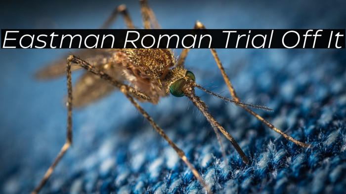 Eastman Roman Trial Off It Example 1