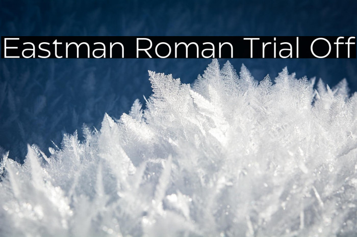 Eastman Roman Trial Off Example 2