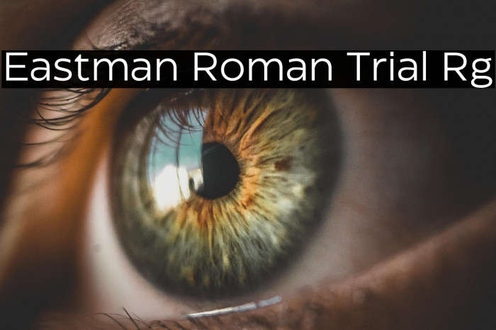Eastman Roman Trial Rg Example 1