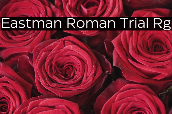 Eastman Roman Trial Rg Example 3