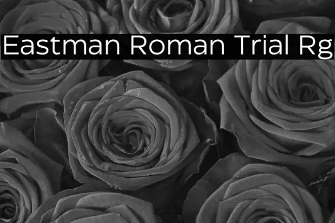 Eastman Roman Trial Rg Example 3