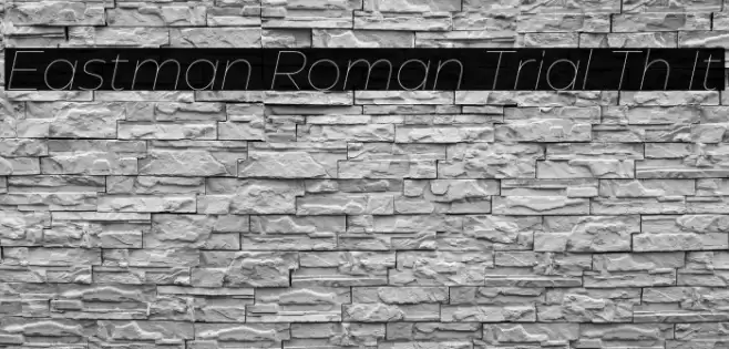 Eastman Roman Trial Th It Font examples