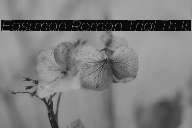 Eastman Roman Trial Th It Font examples