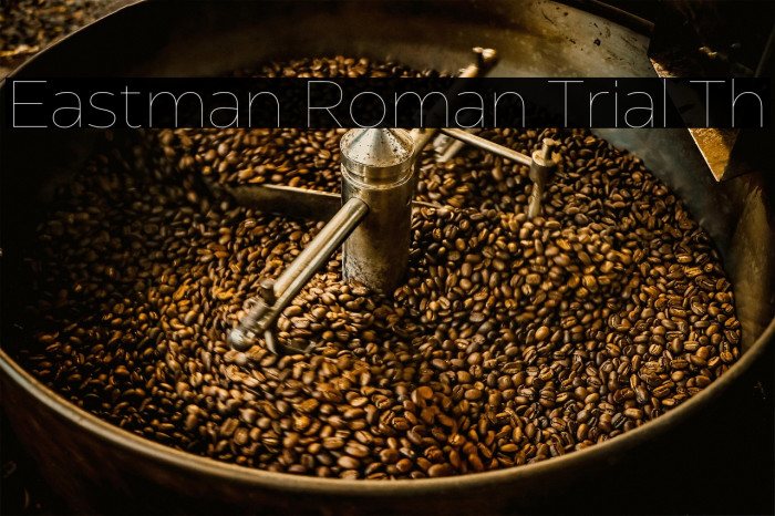 Eastman Roman Trial Th Example 1