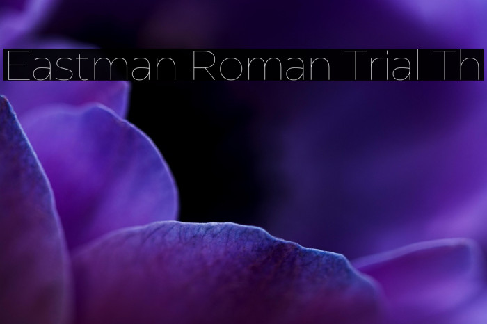 Eastman Roman Trial Th Example 3