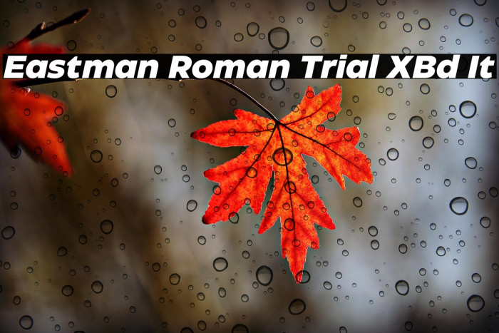 Eastman Roman Trial XBd It Example 1