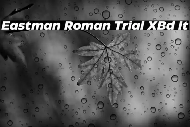 Eastman Roman Trial XBd It Font examples