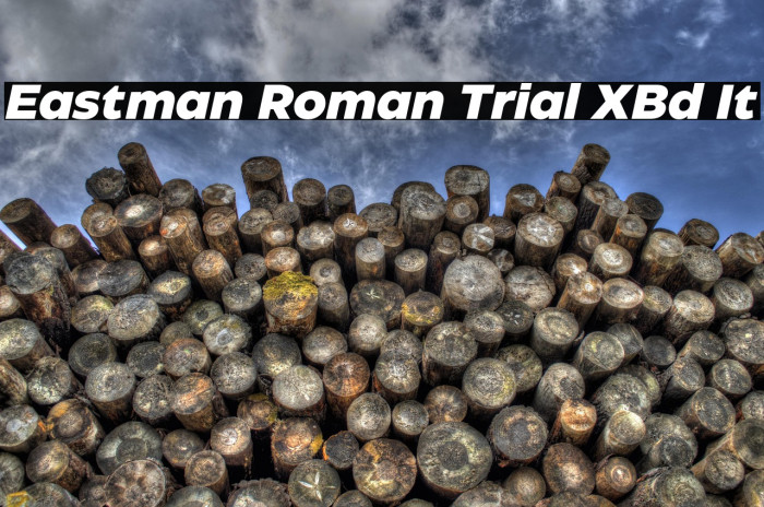 Eastman Roman Trial XBd It Example 2