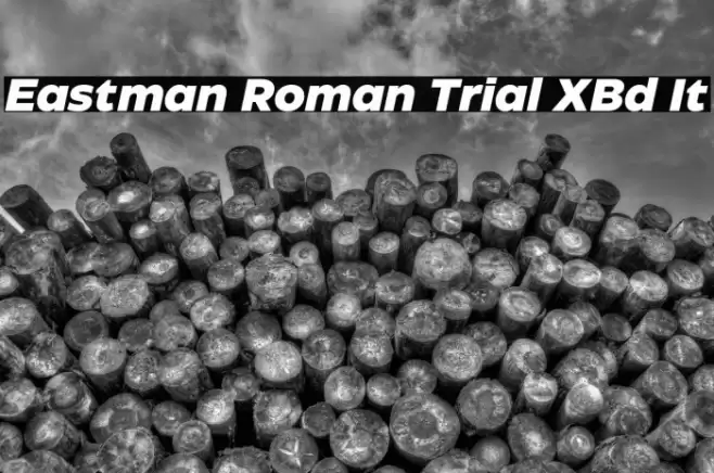 Eastman Roman Trial XBd It Font examples
