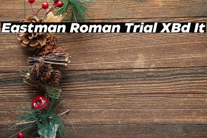 Eastman Roman Trial XBd It Example 3