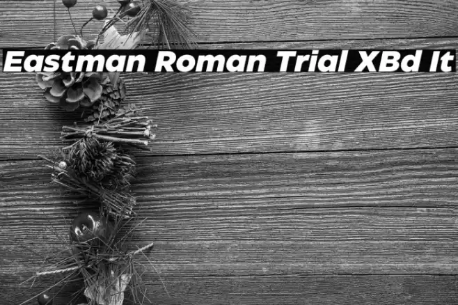 Eastman Roman Trial XBd It Font examples