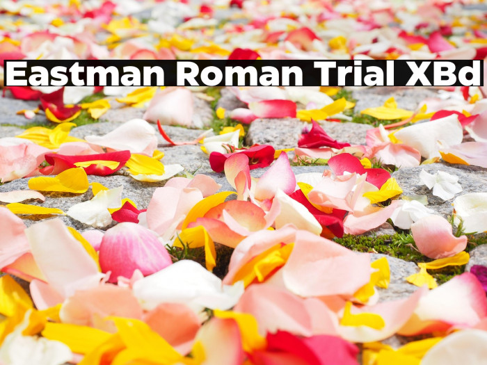 Eastman Roman Trial XBd Example 1