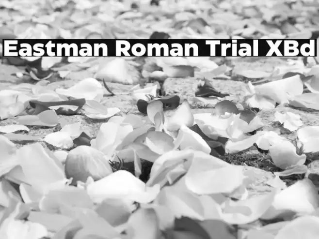 Eastman Roman Trial XBd Font examples