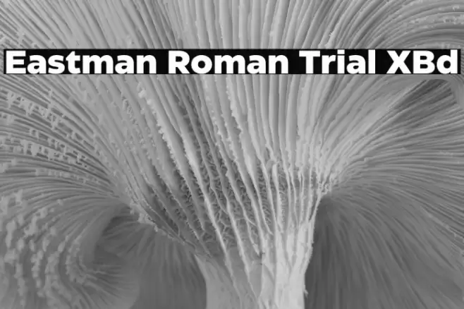 Eastman Roman Trial XBd Font examples
