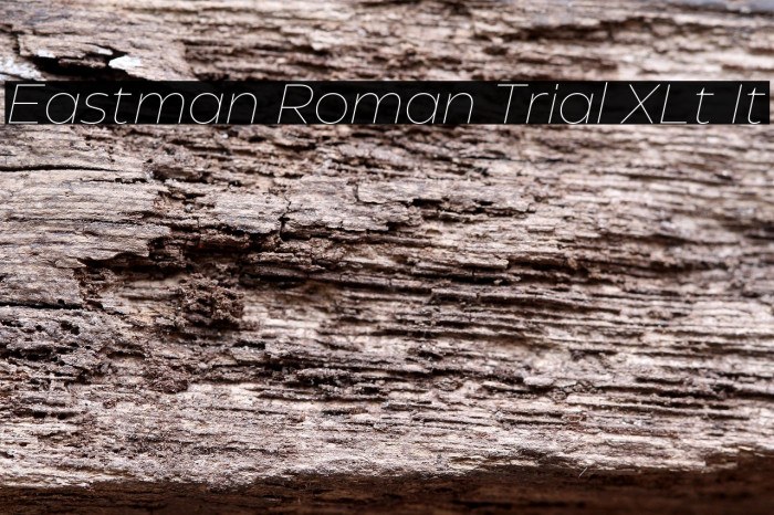 Eastman Roman Trial XLt It Example 1