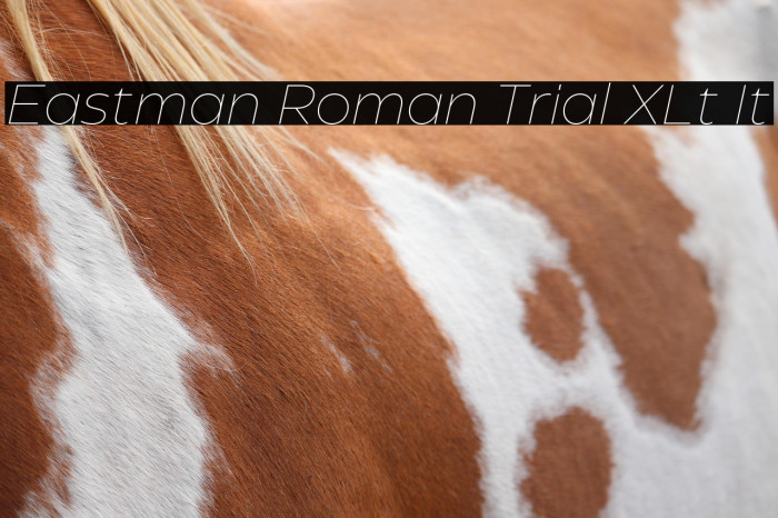 Eastman Roman Trial XLt It Example 2