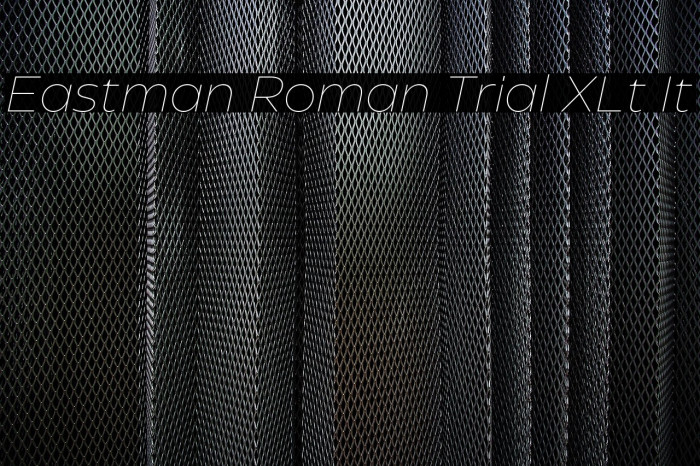 Eastman Roman Trial XLt It Example 3