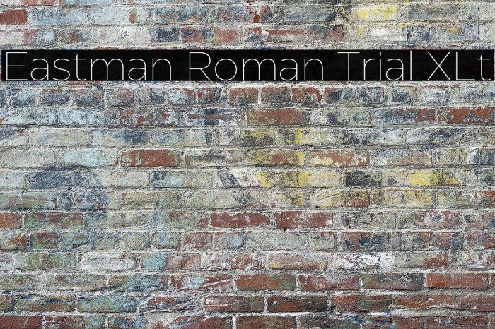 Eastman Roman Trial XLt Example 2