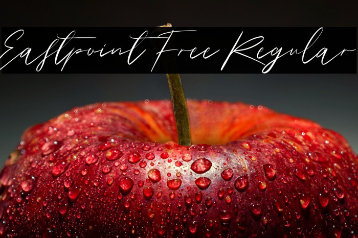 Eastpoint Free Regular Example 1