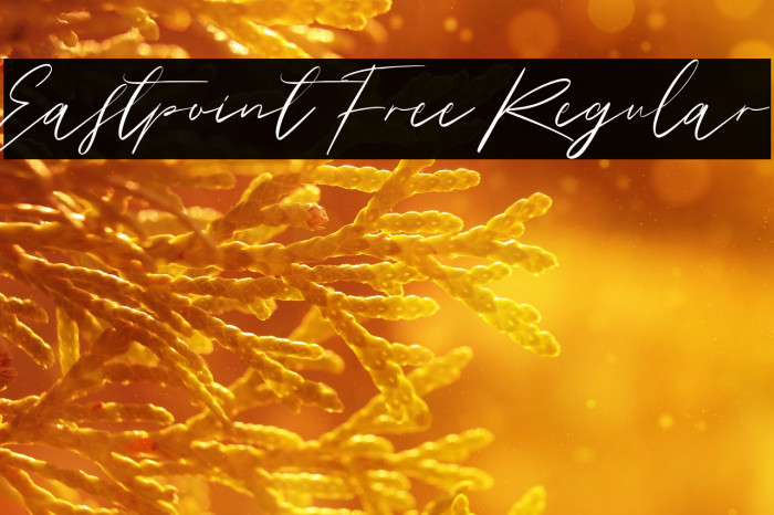 Eastpoint Free Regular Example 3